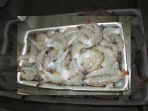 Peeled Shrimp / Udang Kupas